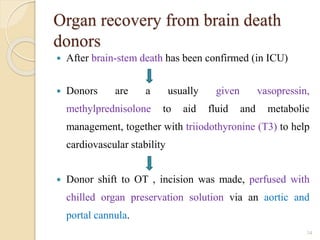 Organ recovery from brain death
donors
 After brain-stem death has been confirmed (in ICU)
 Donors are a usually given vasopressin,
methylprednisolone to aid fluid and metabolic
management, together with triiodothyronine (T3) to help
cardiovascular stability
 Donor shift to OT , incision was made, perfused with
chilled organ preservation solution via an aortic and
portal cannula.
34
 