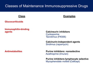 Class Examples
Glucocoriticoids
Immunophilin-binding
agents Calcineurin inhibitors
Cyclosporine
Tacrolimus (FK506)
Calcinurin-independent agents
Sirolimus (rapamycin)
Antimetabolites Purine inhibitors: nonselective
Azathioprine (Imuran)
Purine inhibitors:lymphocyte selective
Mycophenolate mofetil (Cellcept)
Classes of Maintenance Immunosuppressive Drugs
 