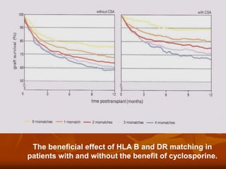 The beneficial effect of HLA B and DR matching in
patients with and without the benefit of cyclosporine.
 