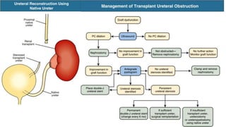 Renal transplantation surgery and its complications | PPTX