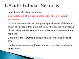  immediately after transplantation.
 Due to ischemia of the transplanted kidney before vascular
anastomosis.
 Occur in cadaveric donors during the agonal period of the donor
and in any donor kidney during the delay between the harvesting
of the kidney and the completion of vascular anastomoses in the
recipient.
 Duration of the ischemia is directly related to the likelihood of
ATN.
 resolve spontaneously and have little adverse effect on ultimate
graft survival
 