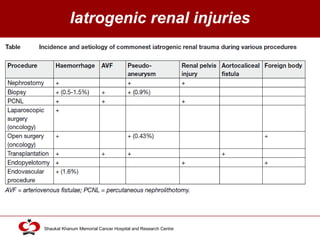 Click to edit Master title style
Shaukat Khanum Memorial Cancer Hospital and Research Centre
Iatrogenic renal injuries
 