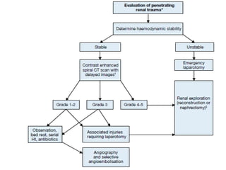 Click to edit Master title style
Shaukat Khanum Memorial Cancer Hospital and Research Centre
 