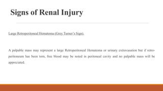 Signs of Renal Injury
Large Retroperitoneal Hematoma (Grey Turner’s Sign).
A palpable mass may represent a large Retroperitoneal Hematoma or urinary extravasation but if retro-
peritoneum has been torn, free blood may be noted in peritoneal cavity and no palpable mass will be
appreciated.
 