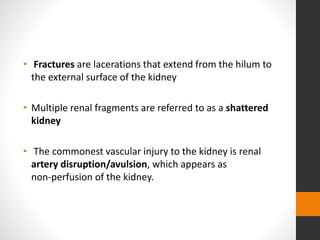 • Fractures are lacerations that extend from the hilum to
the external surface of the kidney
• Multiple renal fragments are referred to as a shattered
kidney
• The commonest vascular injury to the kidney is renal
artery disruption/avulsion, which appears as
non-perfusion of the kidney.
 