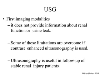 Renal trauma kidney injury | PPTX