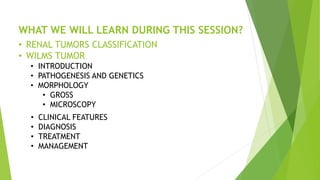 RENAL TUMOR - WILMS TUMOR | PPTX