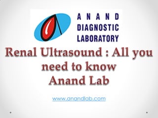 www.anandlab.com
 
