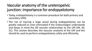 Vascular anatomy of the ureteropelvic
junction: importance for endopyelotomy
• Today, endopyelotomy is a common procedure for both primary and
secondary UPJO.
• The risk of injuring a large vessel during endopyelotomy can be
greatly reduced or even eliminated if the endourologist understands
and keeps in mind the 3D vascular relationships to the UPJ [44, 45,
51]. This section describes the vascular anatomy of the UPJ and this
should be used to perform endopyelotomy safely and efficiently.
 