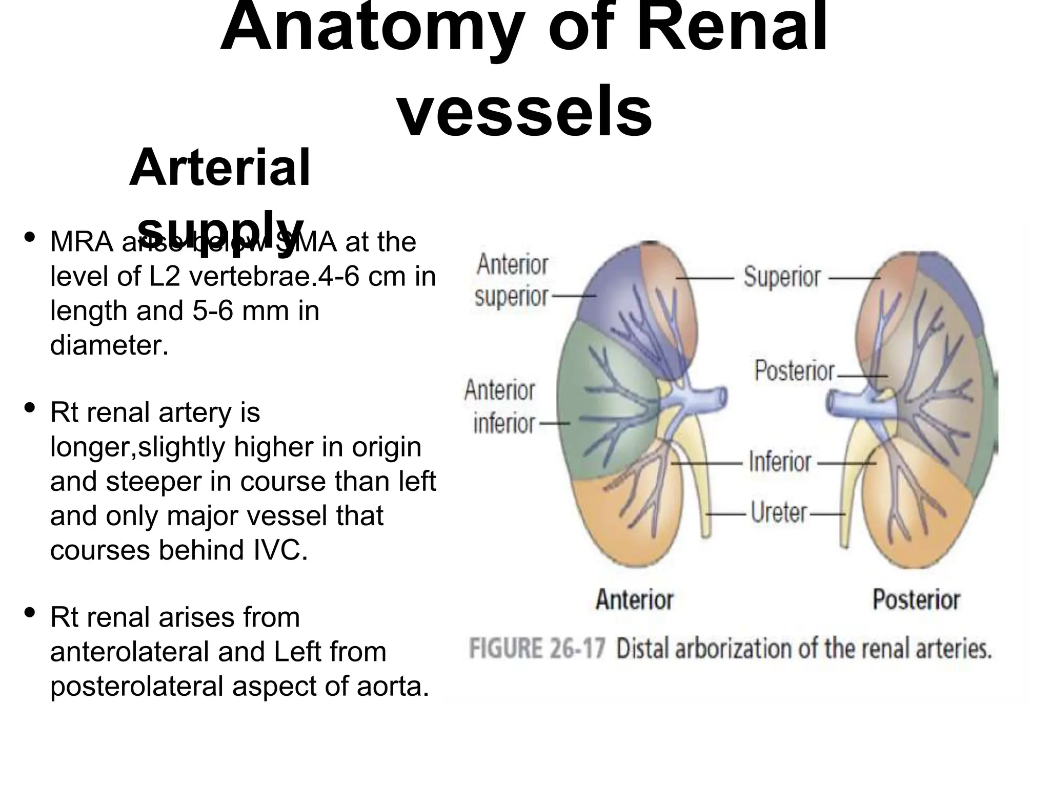 Vascular Rarea A practical guide to Renal Vascular Diseases.pptx
