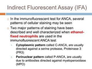 P Anca Pattern Renal vasculitis | PPTX