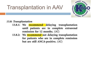 Transplantation in AAV

 