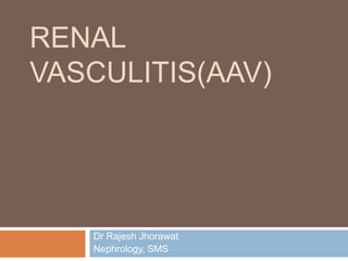 RENAL
VASCULITIS(AAV)

Dr Rajesh Jhorawat
Nephrology, SMS

 