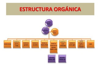 ESTRUCTURA ORGÁNICA
 