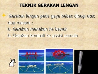 TEKNIK GERAKAN LENGAN Gerakan lengan pada gaya bebas dibagi atas  dua macam : a. Gerakan menekan ke bawah b. Gerakan kembali ke posisi semula 
