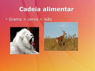 Cadeia alimentar

Grama > cervo > leão
 