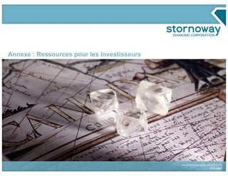 3737
Annexe : Ressources pour les investisseurs
 