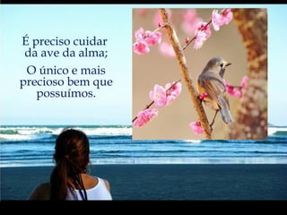 É preciso cuidar  da ave da alma; O único e mais precioso bem que possuímos. 