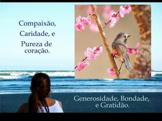 Compaixão, Caridade, e Pureza de  coração. Generosidade, Bondade,  e Gratidão. 