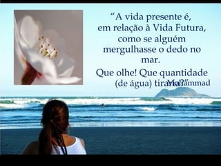 “ Ó Amigo!  No jardim  de teu coração,  nada plantes salvo  a rosa do amor.”  Bahá’u’lláh “ Não importa quão alta possa ser a aspiração de cada um, a Iluminação dever ser atingida  passo a passo.” Buda “ A vida presente é,  em relação à Vida Futura, como se alguém mergulhasse o dedo no mar.  Que olhe! Que quantidade  (de água)  tiraria?” Mohammad 