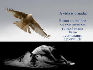 A vida é jornada; Rumo ao melhor  de nós mesmos, rumo à nossa  bem-aventurança  e plenitude. 