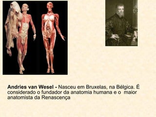 Andries van Wesel -  Nasceu em Bruxelas, na Bélgica. É considerado o fundador da anatomia humana e o  maior anatomista da Renascença 