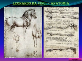 Monges buscam a cura pela féProf. Caco Cardozo