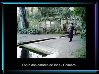 Fonte dos amores de Inês - Coimbra

 