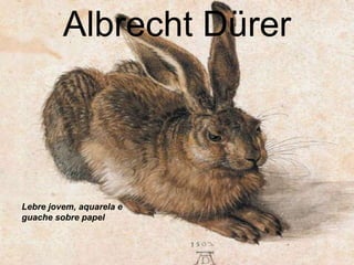 Albrecht Dürer

Lebre jovem, aquarela e
guache sobre papel

 