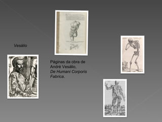 Vesálio Páginas da obra de André Vesálio, De Humani Corporis Fabrica . 