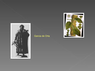 Garcia de Orta 