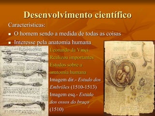 Desenvolvimento científico
Características:
 O homem sendo a medida de todas as coisas
 Interesse pela anatomia humana
Leonardo da Vinci
Realizou importantes
Estudos sobre a
anatomia humana
Imagem dir.- Estudo dos
Embriões (1510-1513)
Imagem esq.- Estudo
dos ossos do braço
(1510)
 