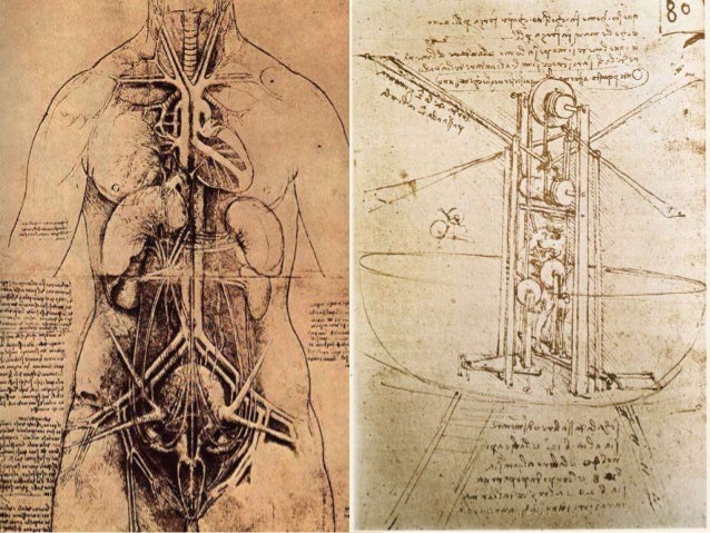 Anatomia Renesans Renascimento