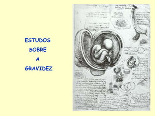 ESTUDOS  SOBRE  A  GRAVIDEZ 
