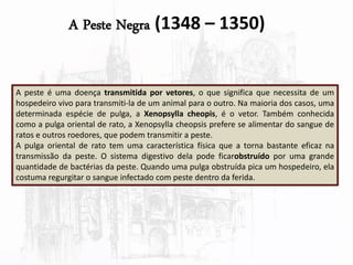 A Peste Negra (1348 – 1350)
A peste é uma doença transmitida por vetores, o que significa que necessita de um
hospedeiro vivo para transmiti-la de um animal para o outro. Na maioria dos casos, uma
determinada espécie de pulga, a Xenopsylla cheopis, é o vetor. Também conhecida
como a pulga oriental de rato, a Xenopsylla cheopsis prefere se alimentar do sangue de
ratos e outros roedores, que podem transmitir a peste.
A pulga oriental de rato tem uma característica física que a torna bastante eficaz na
transmissão da peste. O sistema digestivo dela pode ficarobstruído por uma grande
quantidade de bactérias da peste. Quando uma pulga obstruída pica um hospedeiro, ela
costuma regurgitar o sangue infectado com peste dentro da ferida.
 