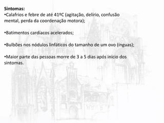 Sintomas:
•Calafrios e febre de até 41ºC (agitação, delírio, confusão
mental, perda da coordenação motora);
•Batimentos cardíacos acelerados;
•Bulbões nos nódulos linfáticos do tamanho de um ovo (ínguas);
•Maior parte das pessoas morre de 3 a 5 dias após início dos
sintomas.
 