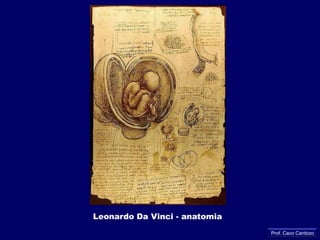 “Pietà”  (1499) de Michelangelo: perfeiçãoProf. Caco Cardozo