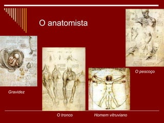 O tronco Gravidez O pescoço Homem vitruviano O anatomista 