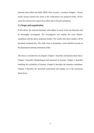 3
neuronal units (Jibril and Güler 2009). More recently, a stochastic Hodgkin – Huxley
model, having colored noise terms in thе conductances was proposed (Güler, 2013a),
where thе colored terms capture those effects due to thе gate multiplicity.
1.1 Scope and organization
In this thesis, the neuronal dynamics with subject to noise in the rate functions will
be thoroughly investigated. The investigation will employ the exact Markov
simulations and the above analytical models. The results from these models will be
presented comparatively. The study aims at presenting a more detailed account on
the phenomenon already outlined by Güler.
This thesis is divided into six chapters. Chapter 1 describes introduction about thesis.
Chapter 2 describes Morphological and structural of neurons. Chapter 3 describes
modeling the excitability of neurons. Chapter 4 describes the dynamics membrane.
Chapter 5 describes the numerical experiments and chapter six is the conclusion
about thesis.
 