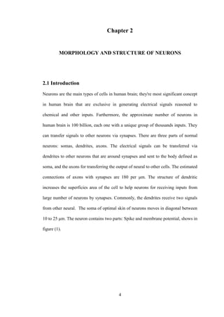 4
Chapter 2
MORPHOLOGY AND STRUCTURE OF NEURONS
2.1 Introduction
Neurons are the main types of cells in human brain; they're most significant concept
in human brain that are exclusive in generating electrical signals reasoned to
chemical and other inputs. Furthermore, the approximate number of neurons in
human brain is 100 billion, each one with a unique group of thousands inputs. They
can transfer signals to other neurons via synapses. There are three parts of normal
neurons: somas, dendrites, axons. The electrical signals can be transferred via
dendrites to other neurons that are around synapses and sent to the body defined as
soma, and the axons for transferring the output of neural to other cells. The estimated
connections of axons with synapses are 180 per μm. The structure of dendritic
increases the superficies area of the cell to help neurons for receiving inputs from
large number of neurons by synapses. Commonly, the dendrites receive two signals
from other neural. The soma of optimal skin of neurons moves in diagonal between
10 to 25 μm. The neuron contains two parts: Spike and membrane potential, shows in
figure (1).
 