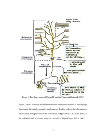 5
Figure.1:.Two Interconnected Cortical Pyramidal Neurons (Izhikevich, 2007)
Figure 1 shows in details the information flow and neuron structure. Crossing huge
fractions of the brain by axon of a single neuron, dendrite collects the information of
other neuron, then processes in the body of cell and passed on to the axon. Soma, or
the body of the cell of neurons, ranges between 10 to 50 μm (Dayan Abbot, 2002).
 