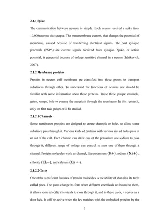 6
2.1.1 Spike
The communication between neurons is simple. Each neuron received a spike from
10,000 neurons via synapse. The transmembrane current, that changes the potential of
membrane, caused because of transferring electrical signals. The post synapse
potentials (PSPS) are current signals received from synapse. Spike, or action
potential, is generated because of voltage sensitive channel in a neuron (Izhikevich,
2007).
2.1.2 Membrane proteins
Proteins in neuron cell membrane are classified into three groups to transport
substances through other. To understand the functions of neurons one should be
familiar with some information about these proteins. These three groups: channels,
gates, pumps, help to convey the materials through the membrane. In this research,
only the first two groups will be studied.
2.1.2.1 Channels
Some membranes proteins are designed to create channels or holes, to allow some
substance pass through it. Various kinds of proteins with various size of holes pass in
or out of the cell. Each channel can allow one of the potassium and sodium to pass
through it, different range of voltage can control to pass one of them through a
channel. Protein molecules work as channel, like potassium , sodium ,
chloride , and calcium +).
2.1.2.2 Gates
One of the significant features of protein molecules is the ability of changing its form
called gates. The gates change its form when different chemicals are bound to them,
it allows some specific chemicals to cross through it, and in these cases, it serves as a
door lock. It will be active when the key matches with the embedded proteins by the
 