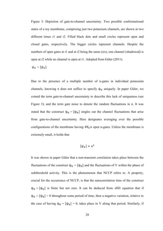28
Figure 3: Depiction of gate-to-channel uncertainty. Two possible conformational
states of a toy membrane, comprising just two potassium channels, are shown at two
different times t1 and t2. Filled black dots and small circles represent open and
closed gates, respectively. The bigger circles represent channels. Despite the
numbers of open gates at t1 and at t2 being the same (six), one channel (shadowed) is
open at t2 while no channel is open at t1. Adopted from Güler (2011).
Due to the presence of a multiple number of n-gates in individual potassium
channels, knowing n does not suffice to specify uniquely. In paper Güler, we
coined the term gate-to-channel uncertainty to describe this lack of uniqueness (see
Figure 3); and the term gate noise to denote the random fluctuations in n. It was
stated that the construct singles out the channel fluctuations that arise
from gate-to-channel uncertainty. Here designates averaging over the possible
configurations of the membrane having open n-gates. Unless the membrane is
extremely small, it holds that
It was shown in paper Güler that a non-transient correlation takes place between the
fluctuations of the construct and the fluctuations of V within the phase of
subthreshold activity. This is the phenomenon that NCCP refers to. A property,
crucial for the occurrence of NCCP, is that the autocorrelation time of the construct
is finite but not zero. It can be deduced from sHH equation that if
> 0 throughout some period of time, then a negative variation, relative to
the case of having = 0, takes place in V along that period. Similarly, if
 
