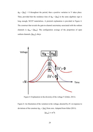 29
< 0 throughout the period, then a positive variation in V takes place.
Then, provided that the residence time of in the same algebraic sign is
long enough, NCCP materializes. A pictorial explanation is provided in Figure 4.
The construct that reveals the gate-to-channel uncertainty associated with the sodium
channels is . The configuration average of the proportion of open
sodium channels, , obeys
Figure 4: Explanation in the diversity of the voltage V (Güler, 2011).
Figure 4: An illustration of the variation in the voltage, denoted by δV, in response to
deviations of the construct from zero. Adopted from Güler (2011).
 