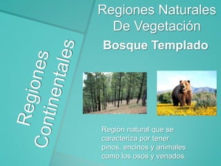 Regiones Naturales
De Vegetación
Bosque Templado

Región natural que se
caracteriza por tener
pinos, encinos y animales
como los osos y venados.

 