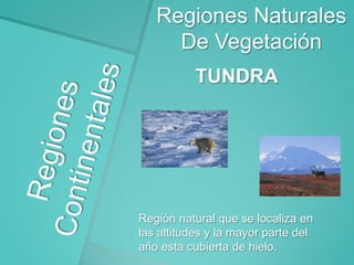 Regiones Naturales
De Vegetación
TUNDRA

Región natural que se localiza en
las altitudes y la mayor parte del
año esta cubierta de hielo.

 