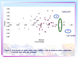 Figura 2. Distribuição do ganho médio diário (GMD) e CAR de bezerros nelore submetidos à seleção para peso pós-desmame 1,09:0,373 1,16:-0,462 