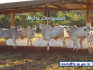 Muito Obrigada!!! [email_address] 