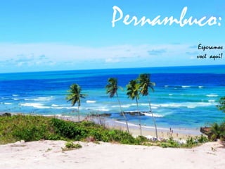 Pernambuco:
        Esperamos
        você aqui!
 