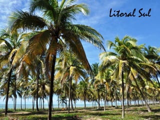 Litoral Sul
 